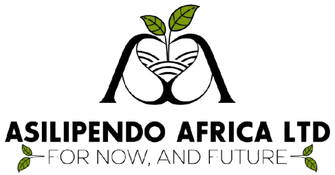 AsilipendoAfrica Ltd